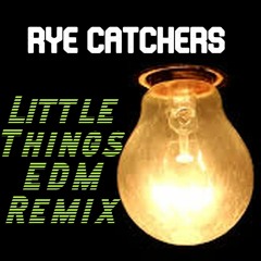 Little Things (Maze x Mxtreme Remix)