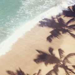 Tropical Disco