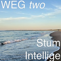 WEG two  [Stumpy Intelligenz]