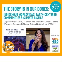 The Story is in Our Bones: Indigenous Worldviews, Earth-Centered Communities & Climate Justice