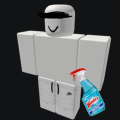 WINDEX