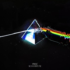 Sean Fortune - Prism