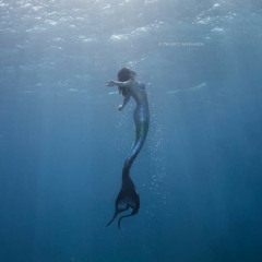 tale of the sea