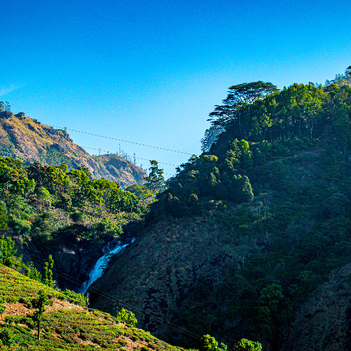 Psalm 23 - Yahuah my Shepard