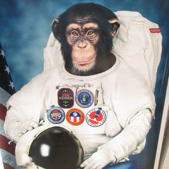 Space Monkeys