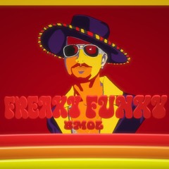 Freaky Funky Bmol  // DISCO - FUNK - BAILEFUNK - TECH  HOUSE