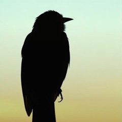 ‎⁨—-«پرنده‌ی-بی‌صدا»-(the-silent-bird)⁩ 3.mp3