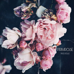 PRIMROSE (PROD. ROLLIE)