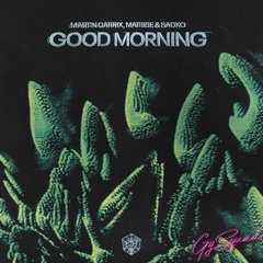 Martin Garrix- Good Morning intro ( UMF 2022 KAIZN High quality version)