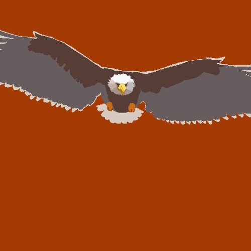 eagleSwoop