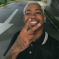 MEGA BEATZINHO PRA OUVIR NO CARRO BICHO - PARTE 2 [ DJ GLM & DJ LF ] BEAT FINO STALLONY SANTOS