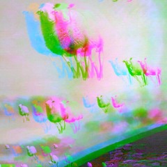 Havvoc - Cosmic Sheep