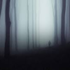 Shadows