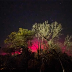 Micronesian Flow (Siren Beat Club Remix) - DJay Flavor