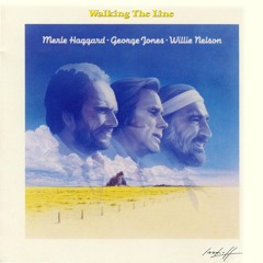 Are the Good Times Really Over (I Wish a Buck Was Still Silver) (Single Version)