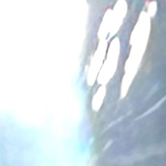 絵本(self-produced-demo) / 唯乃依(from dot10) -SoundCloud期間限定版