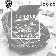 Dj Python - #2022  #DRUM&BASS #JUNGLE #DNB #DRUMNBASS
