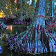 Below the Surface Vol. 2 (ALL UNRELEASED MIX)((2025))