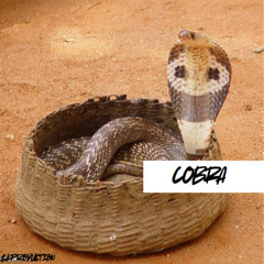 COBRA REMIX