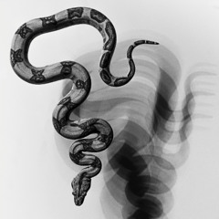 Snake (Feat. ConF1dence)