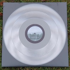 Vinyls