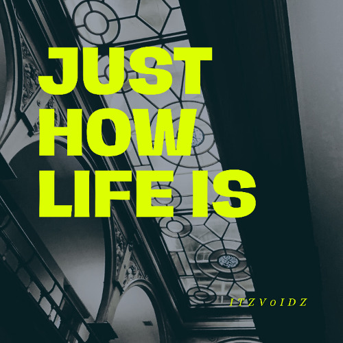Just How Life Is - ItzVoidz