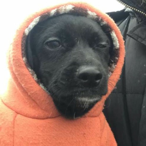 Crybanging with friends 1