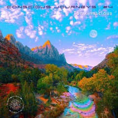 Conscious Journeys #4: Tomkinascious