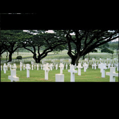 Trainko36oz - Krack & Speedway