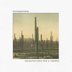 Dogs & Rabbits Sharing The Sun