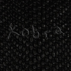 BVSIS - Kobra