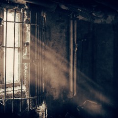 Echo