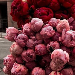 Fireflies (NightCore)