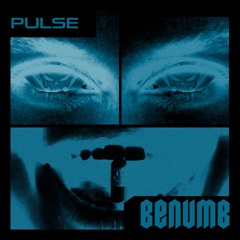 Pulse