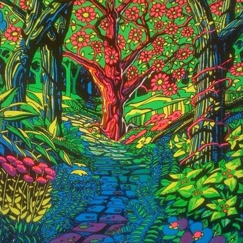 lsd