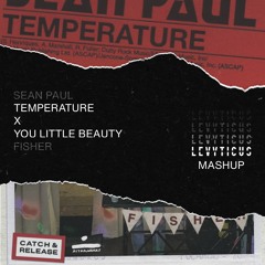 Temperature X You Little Beauty (LEVYTICUS Mashup) - Sean Paul, FISHER