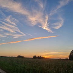 Golden Skies