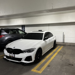 Perrear (unreleased)