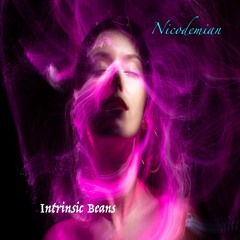 Nicodemian - Intrepid Dreamer - 06 - Intrinsic Beans