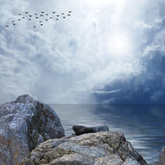 Brighter Days (2026)