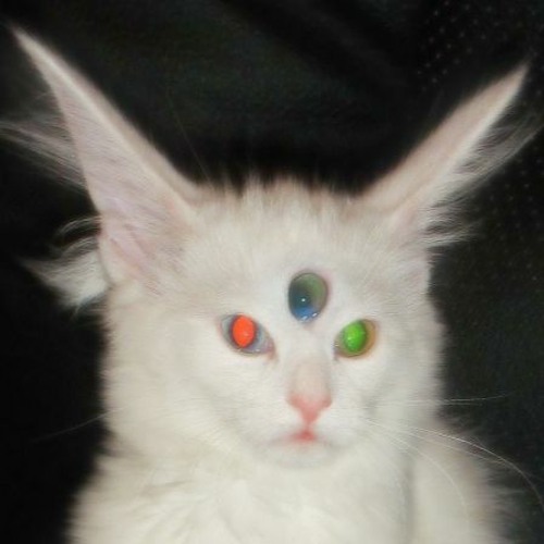 search and rescue (definitely not a jersey club remix from SJAYY)