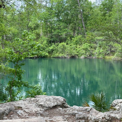 Whole Earth (prod. darius)