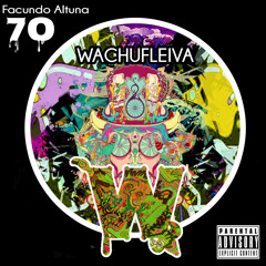Facundo Altuna - Wachufleiva 70-2 (Original Mix)