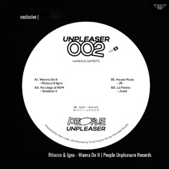 exclusive | Ritacco & Igna - Wanna Do It | People Unpleaser Records