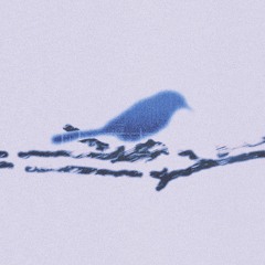 flywme