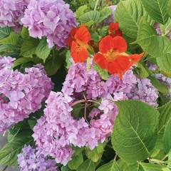 tender love and care