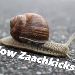 Slow Zaagkicks ?