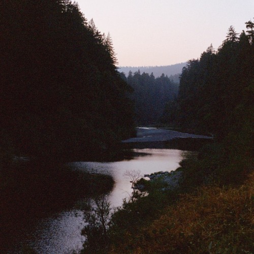 transience #25 with Sybil