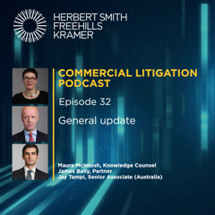Commercial Litigation EP32: General update