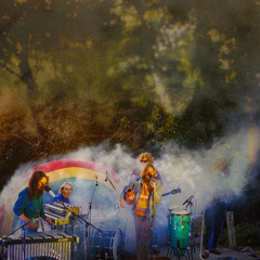 Peace Blossom Boogy (Live)